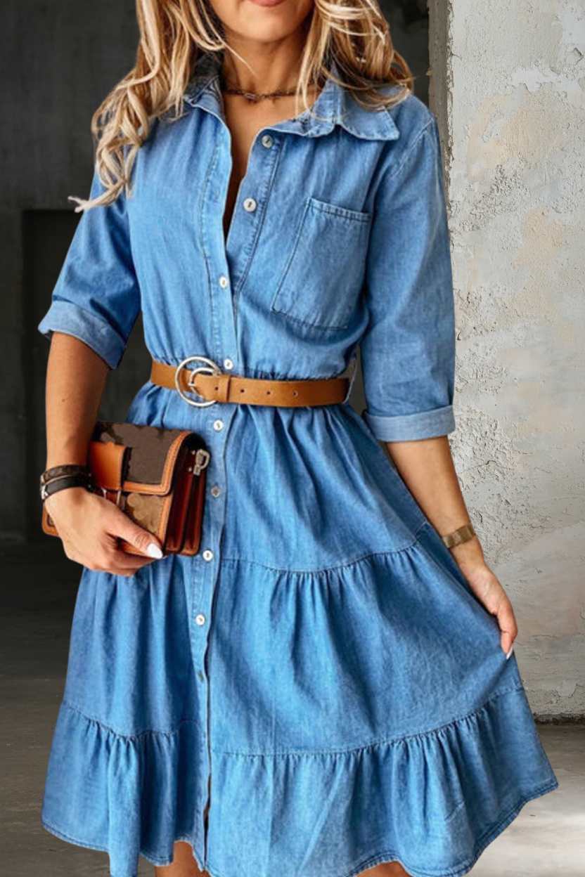 Louisa Smart Casual Denim Dress - view 3