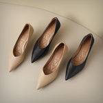 Georgia Elegant Pointed-Toe Pumps