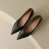 Georgia Elegant Pointed-Toe Pumps