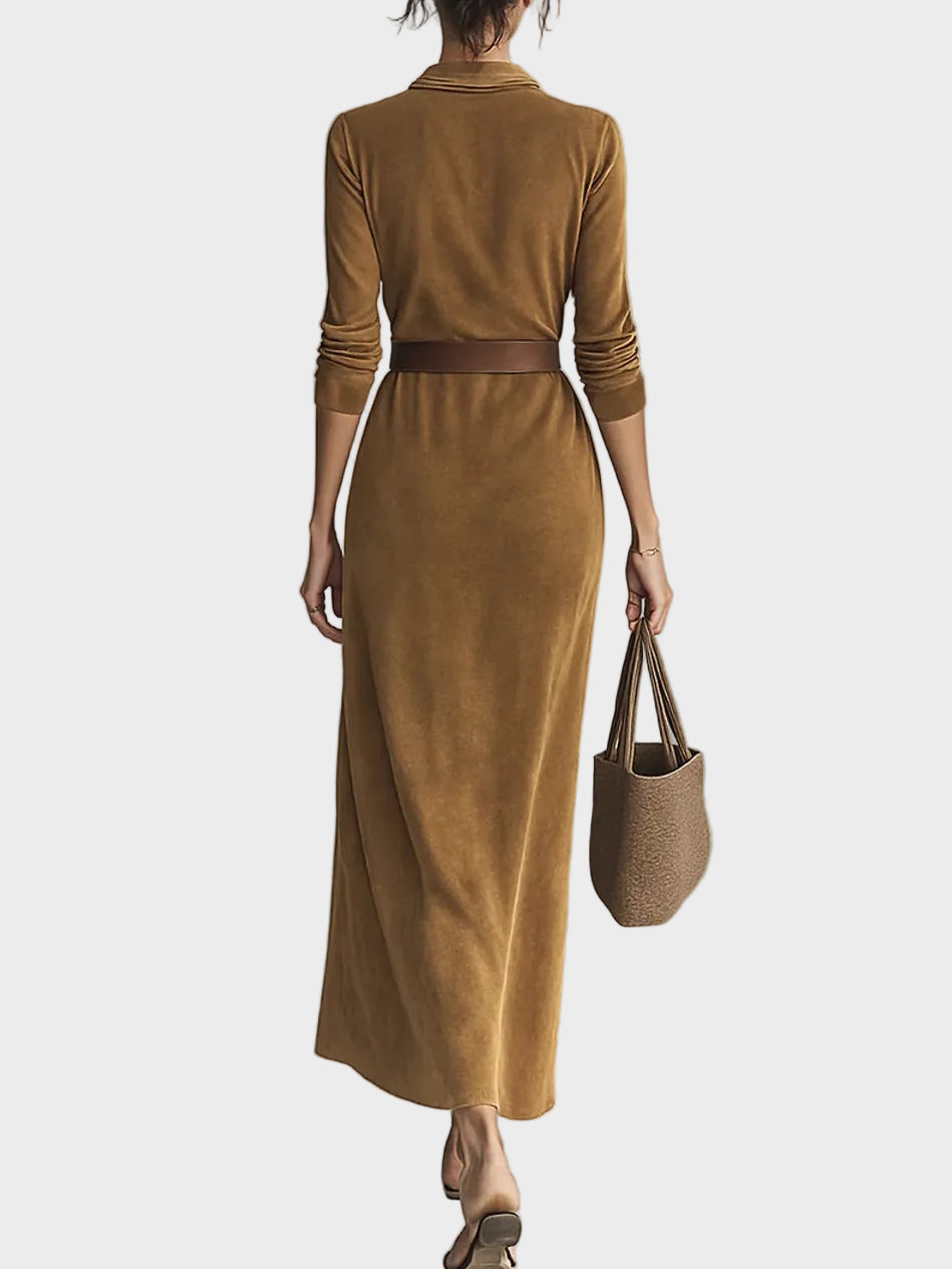 Camilla Single-Breasted Faux Suede Maxi Dress with Collar - view 7
